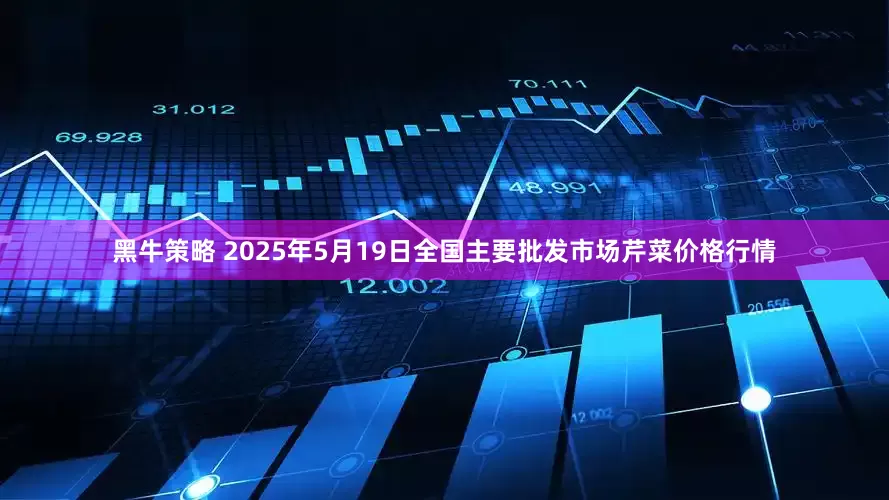 黑牛策略 2025年5月19日全国主要批发市场芹菜价格行情