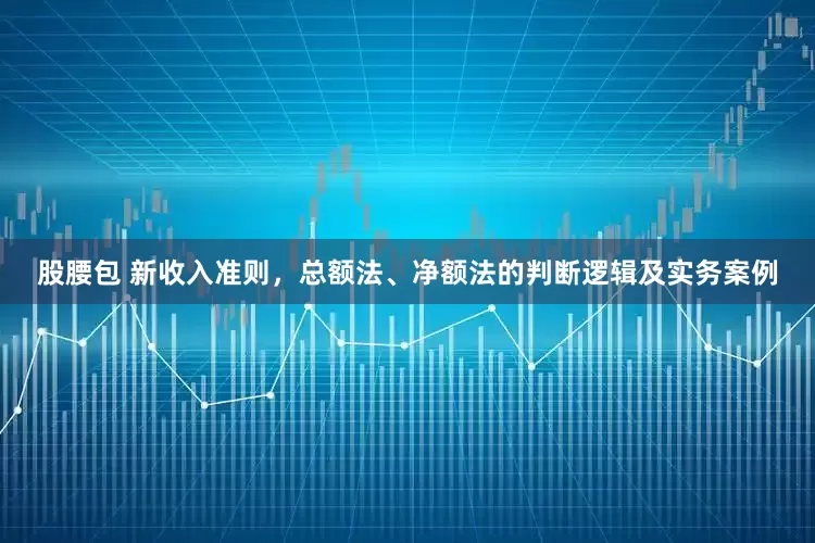 股腰包 新收入准则，总额法、净额法的判断逻辑及实务案例
