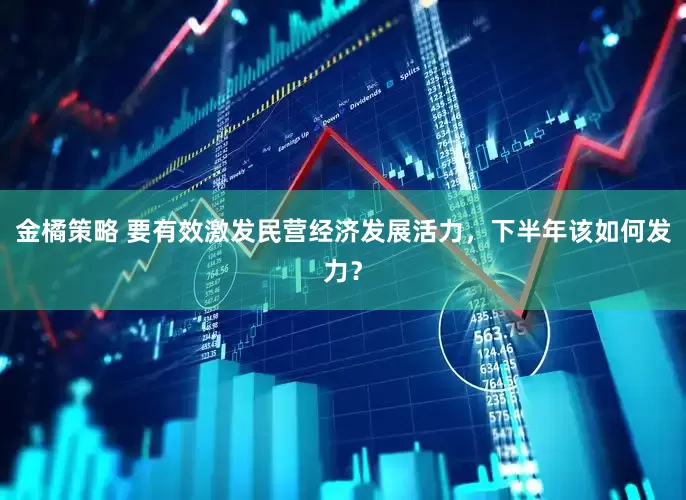 金橘策略 要有效激发民营经济发展活力，下半年该如何发力？