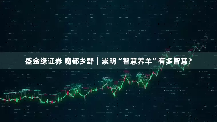 盛金缘证券 魔都乡野｜崇明“智慧养羊”有多智慧？