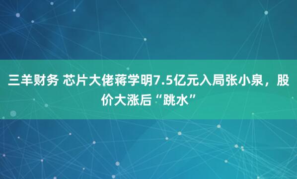 三羊财务 芯片大佬蒋学明7.5亿元入局张小泉，股价大涨后“跳水”